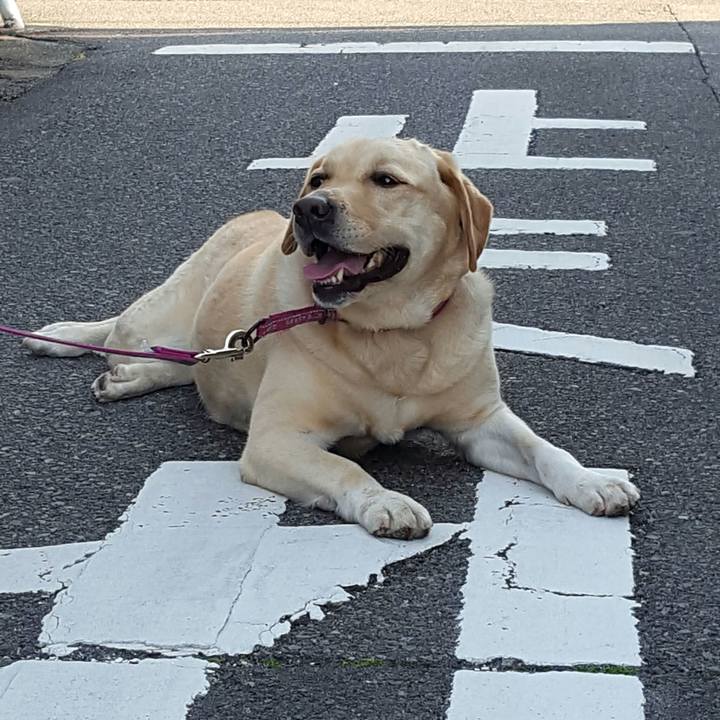 882fce98 22c7 45d2 8bae bfd7aa1b2282