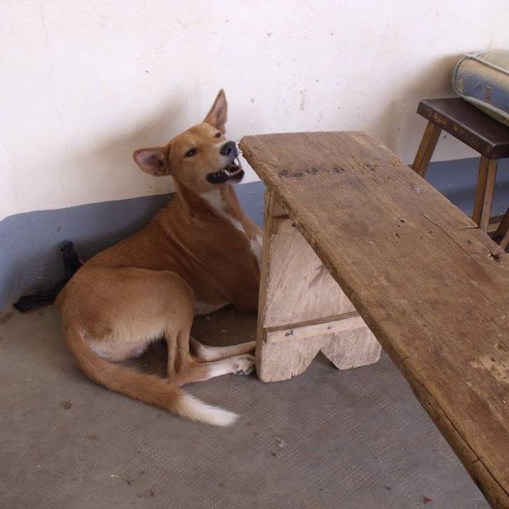 883013a8 a92b 4851 99d2 22311702fb87