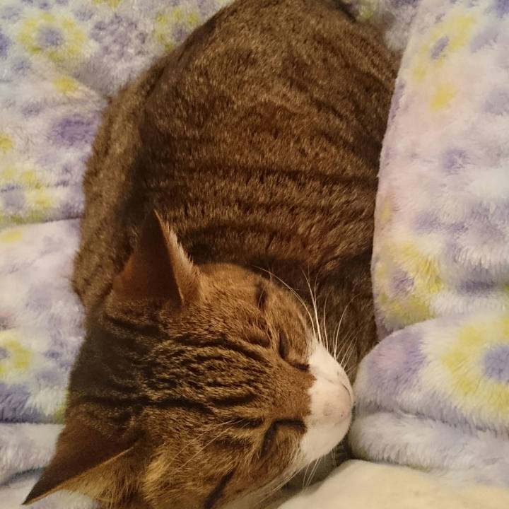 8830a33c 00dd 44b7 b420 ed31279b4428