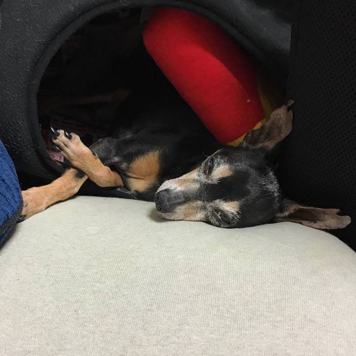 8830c1dc b882 441f 9e8e 4278d6694313