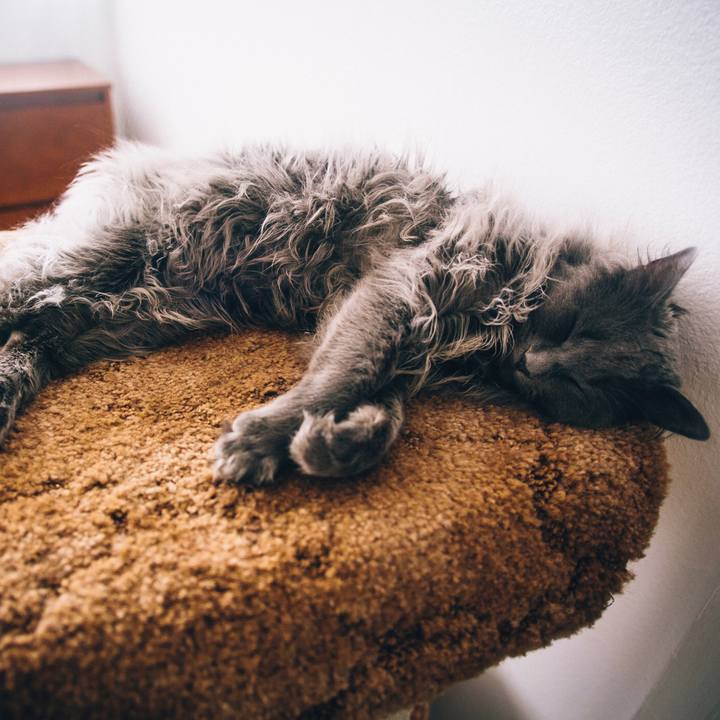 8830db19 1aef 4df4 9be5 290bd1fdbbf0