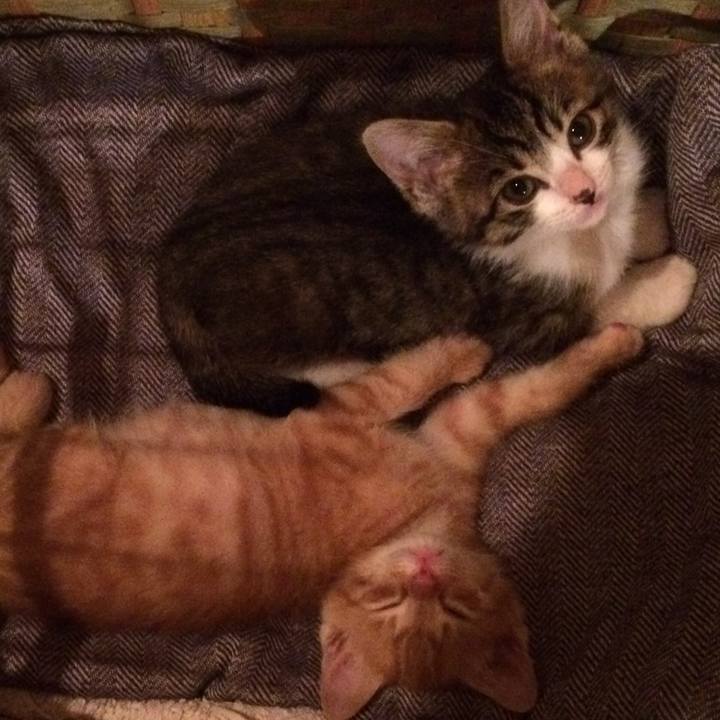 8830f6ee 2d44 46e8 bea8 2fe313f6dd27