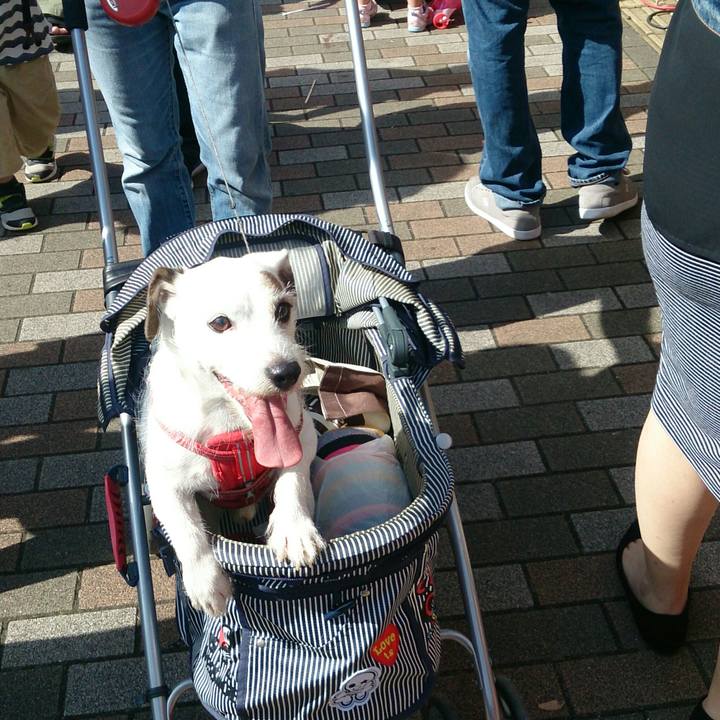 8831f82a 4b2f 4354 a2a6 f80955d3abd5