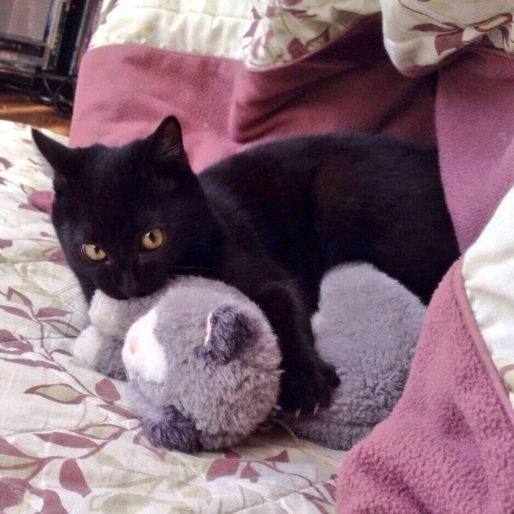 88323c22 447d 477c b3a9 7ba12b7e9a8b