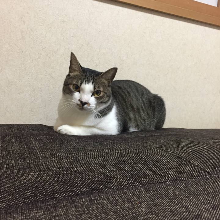 8832522e 1abc 4933 859a 9e1f845f6d29