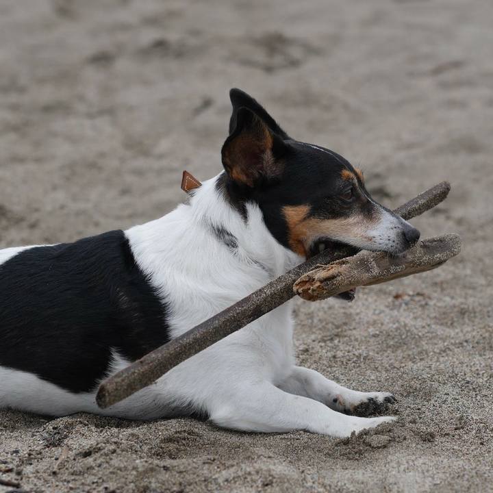 88327c4e 9b02 4f90 b997 7c727a85a3a1