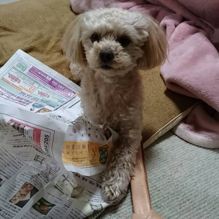 88328a10 85f9 4986 8a10 5bc9bf2fe742