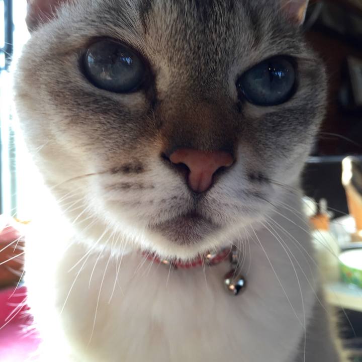 88334feb edaa 4d3c bf21 1f6efced4ee1