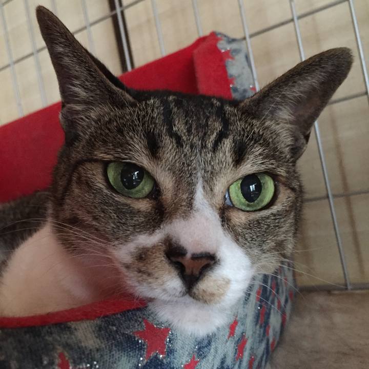 88336c95 1289 4c86 a83b 8e876ae4d5f3