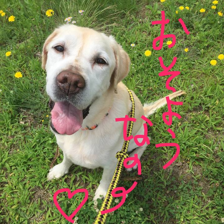 8833978f f6bb 453d a5fe 5b966b5d9b5e