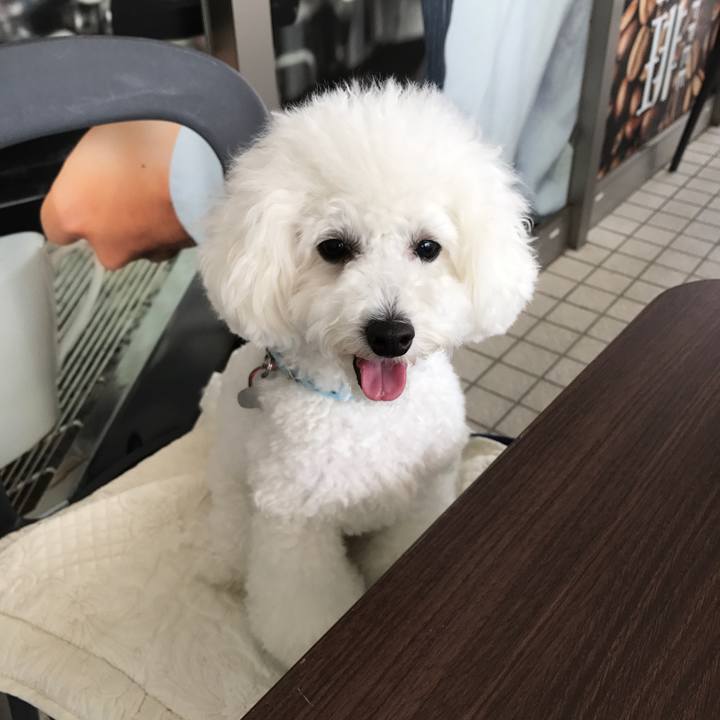 8833a241 b481 4feb 894f a1a9d14652e9