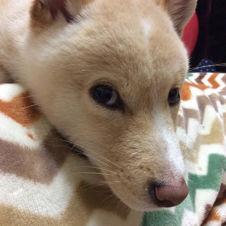 88349bda 9c12 4194 b7cc 266fa92de3fa