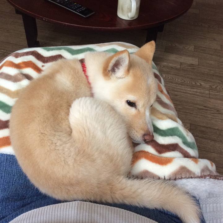 8834ab4b 2793 4b27 8494 80df257798b7