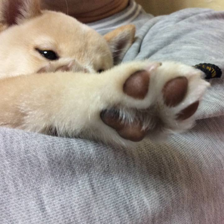 88355070 166a 42be 910d e2717cd6ac42