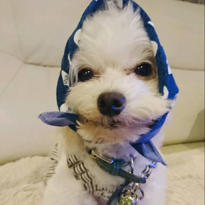 88358797 dc07 4ce8 8d83 03efce79377d