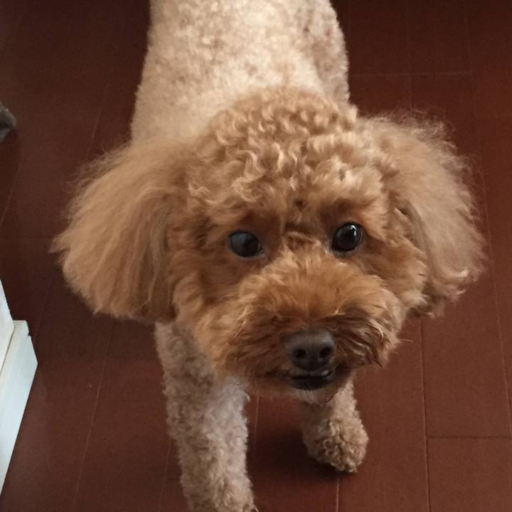 88359714 3a87 4b86 8af1 b82d9a4ed466