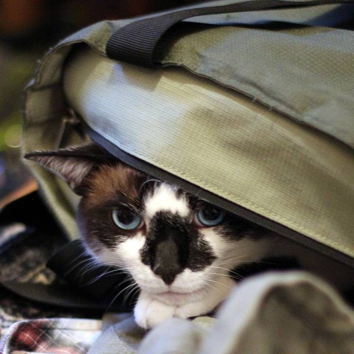 8835c062 3eba 46c1 8bd3 9adfd507144e