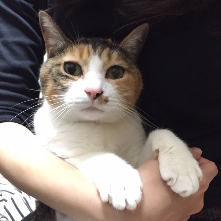 88367cdd 7498 44ef 9ac8 e7d21452473b