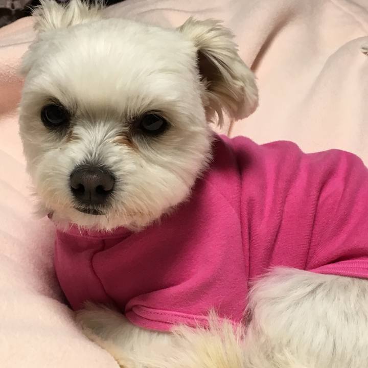 88381fd7 895b 4815 b0a0 989233577e8b