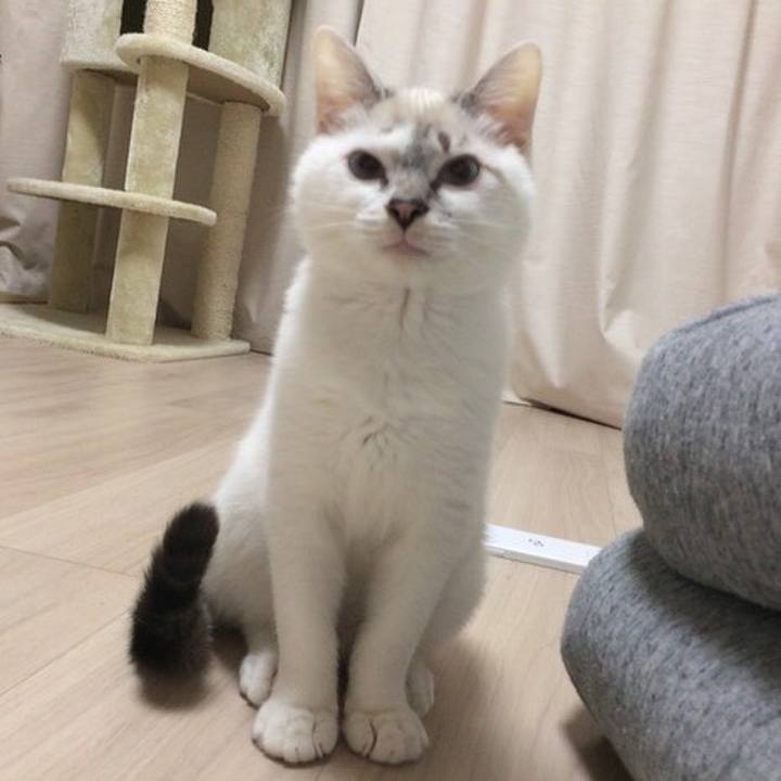 88382444 91e8 4e6e b19c 8a382f117b8b