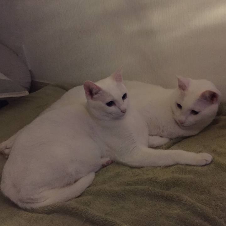 883855b8 8067 46cf b3c5 95d71b933c8c