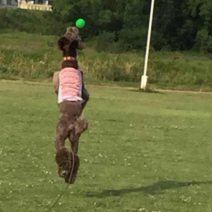 8838bdeb a126 4039 89b5 a55c2337466c