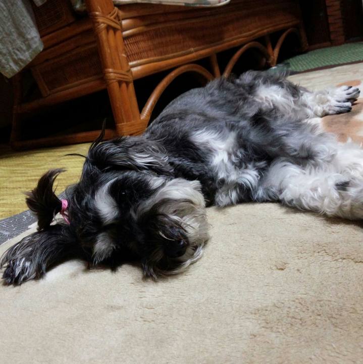 8838c25d 82e2 40ab 9ad1 22bc46774d87