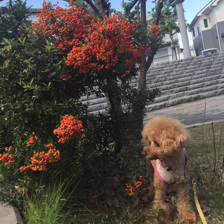 8838d5b7 5df5 433a bbc9 86128024e153