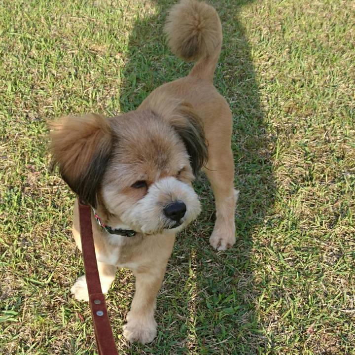 88399487 2785 4851 8209 7fe78efc679b