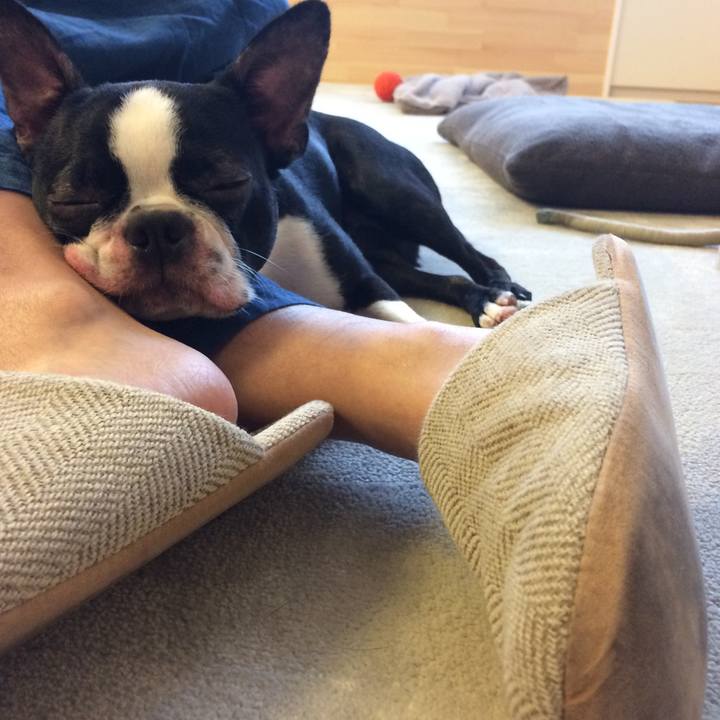 883aa781 6ac4 404e 980b 0763e9225f3e