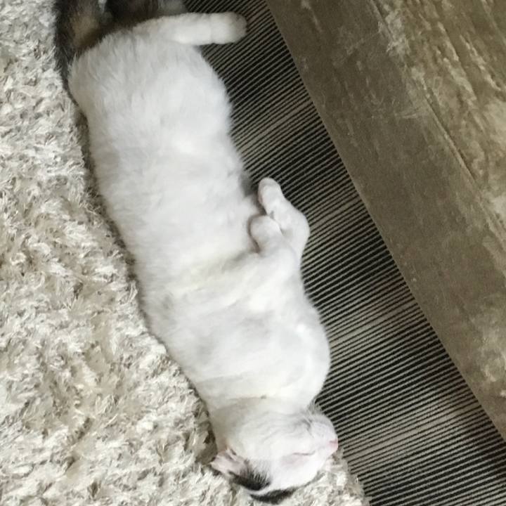 883abe1b 73c5 4087 81a5 d344e32cf3f9