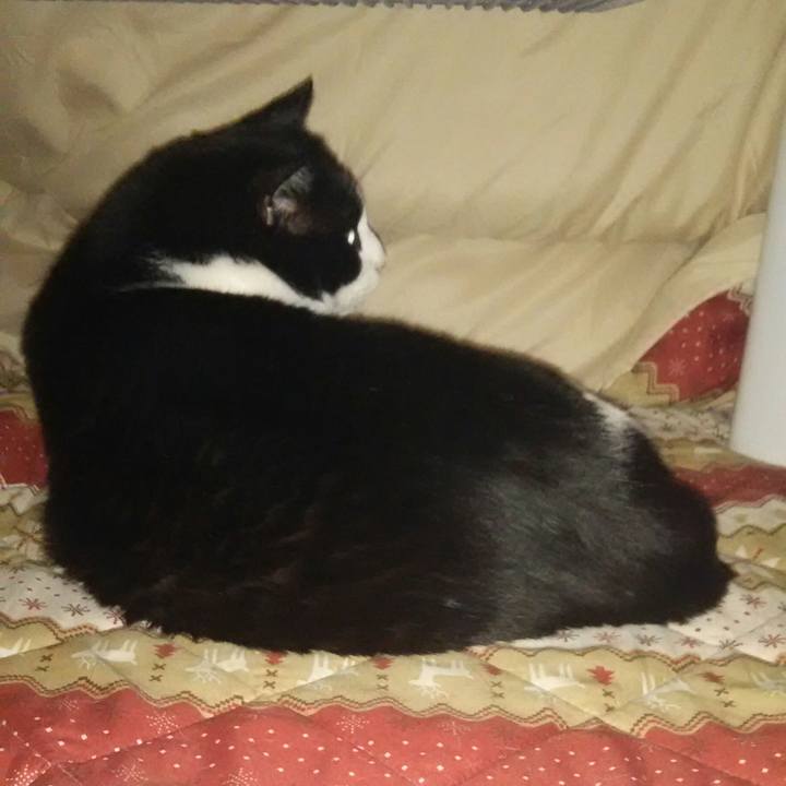 883add29 30de 44bb ae47 2fd7c0c6df89