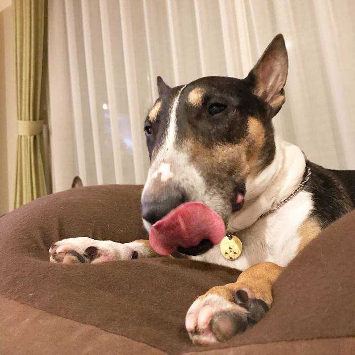 883b28db e9a6 47f6 8de4 0e61016607ea