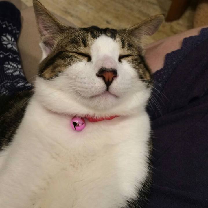 883c22cb 2af8 480b aba2 0813461907f8