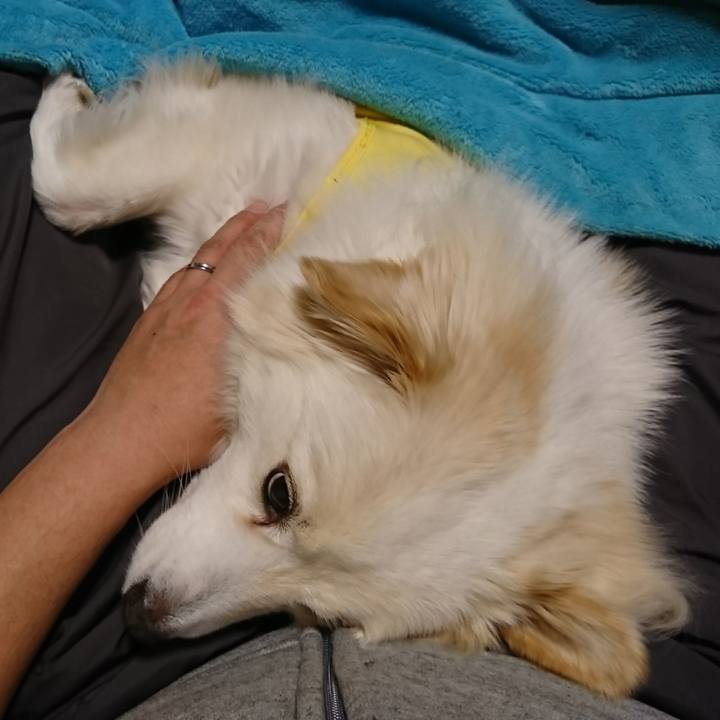 883c5c46 1c4b 488a aede 36ad1a0f97e2