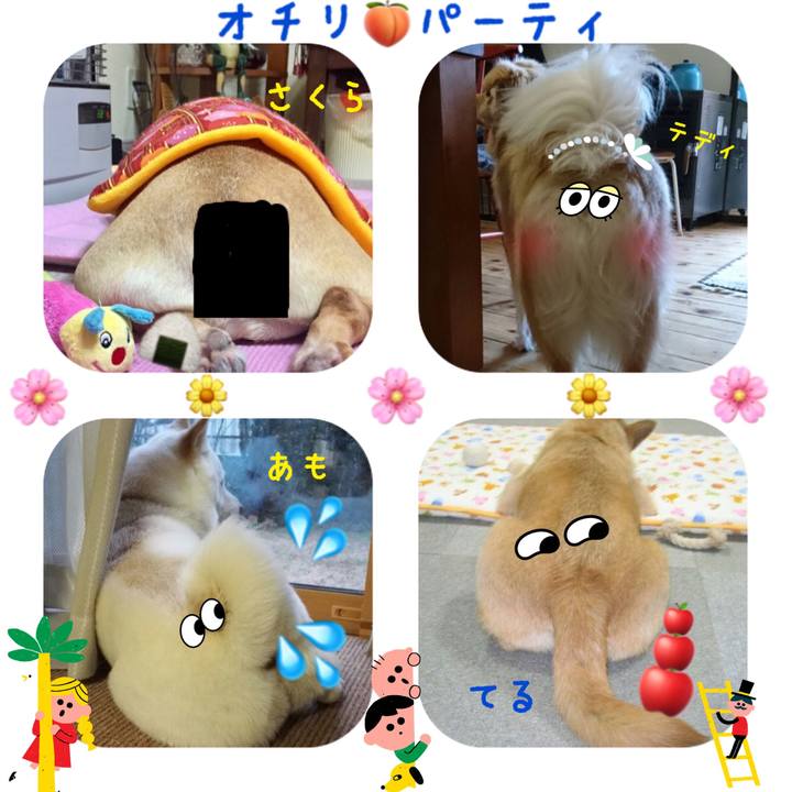 883c6173 6b5a 4a41 a450 7d6d3fb30e64