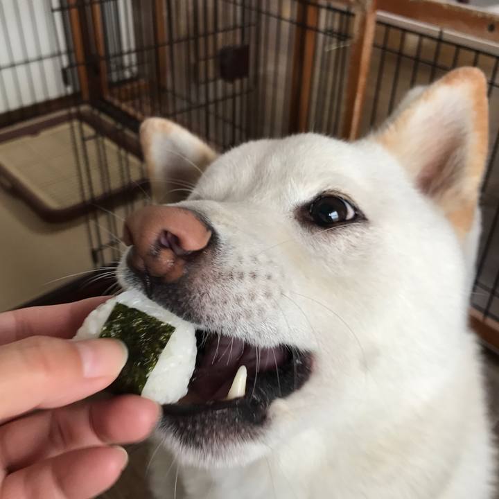 883ca1ed cf77 488e b06a e803be25f4d8