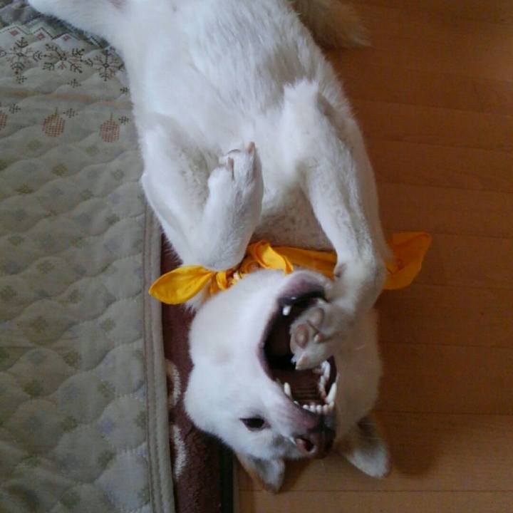 883ca8f2 740f 46ed 9e7f 8b4d7d00aa65