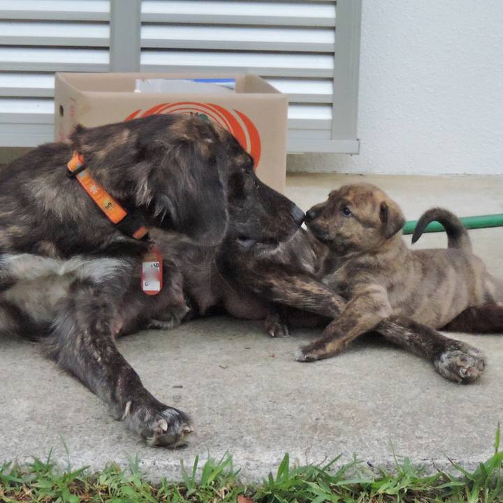 883cb023 c3ac 475f 9d52 16048b5416c2