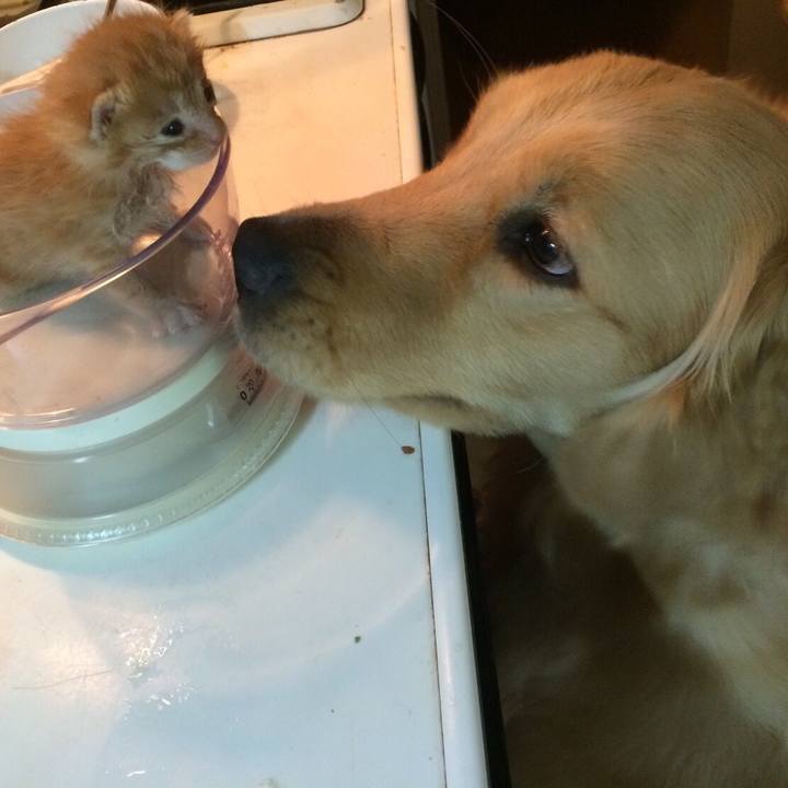 883d44b9 0ca2 43ca 8b3a 59b0a7bcf987