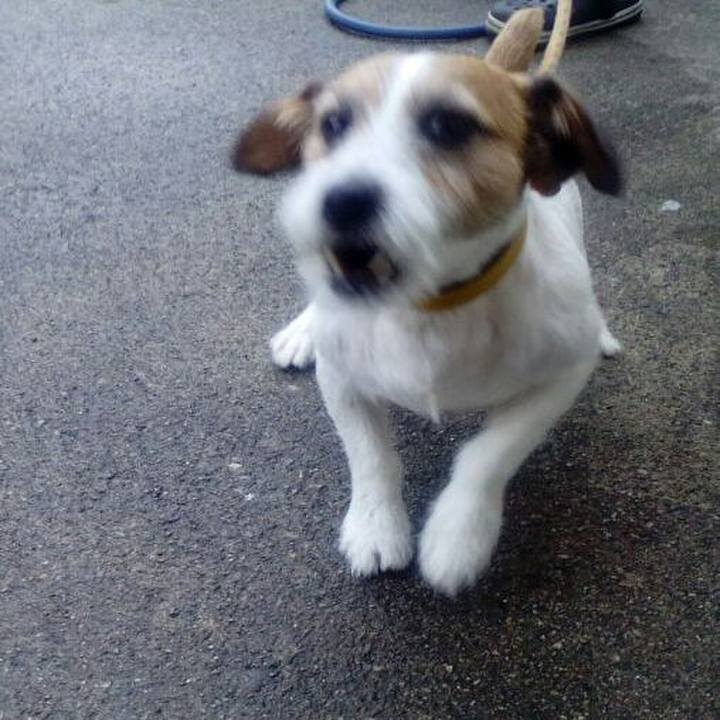 883d5daa efb0 4997 a85b 4f63349f3228