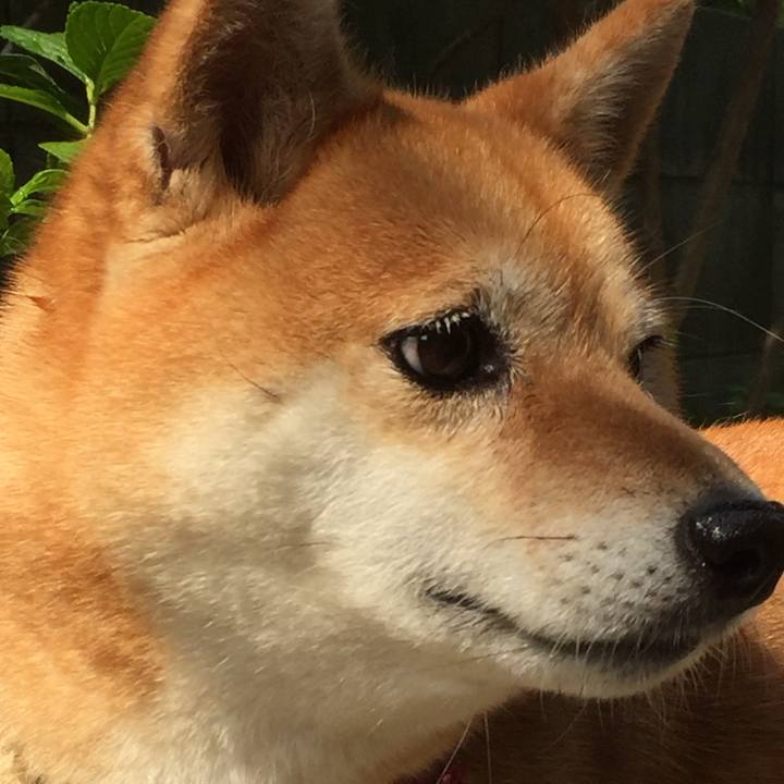 883d80fd 9678 466c ab3b 4dbe6a307a78