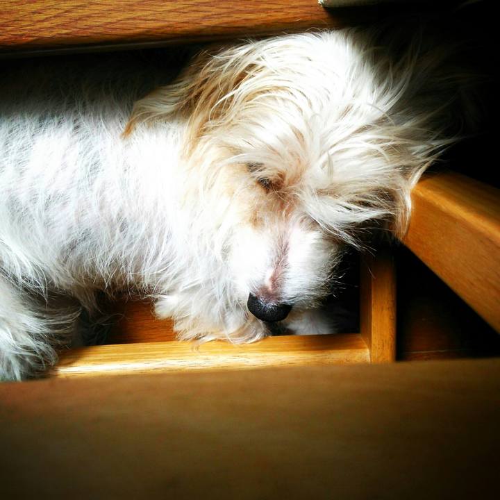 883d8b7c 589f 423f aa8f cdd22e52b97d