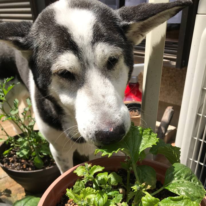 883db538 97b0 4199 93a7 66ef547482b5