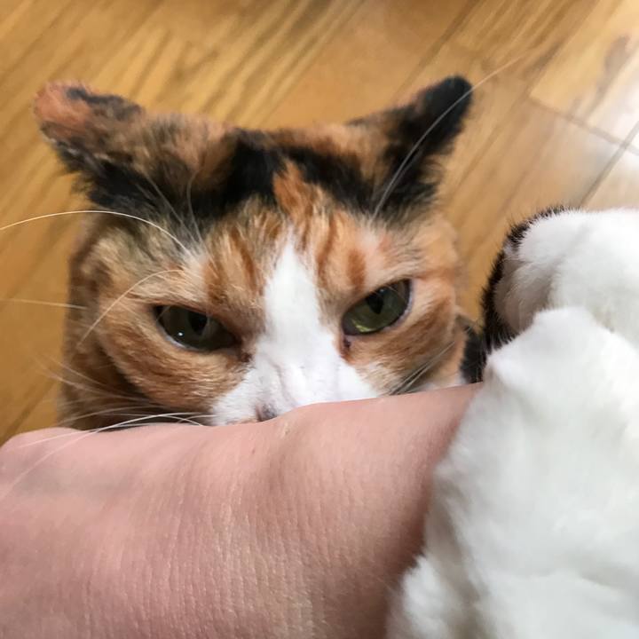 883e2e8d 510a 4298 b46f b3851c44403b