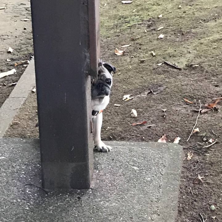 883ef907 6cfb 4dca aba8 858d8cf74713