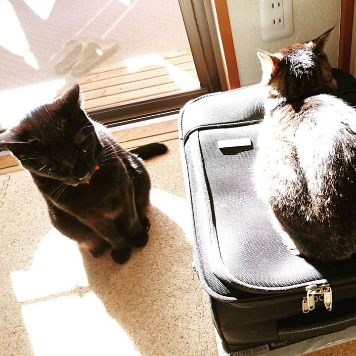 883f3e0a 8c12 4da1 b73b b704ed620ab7