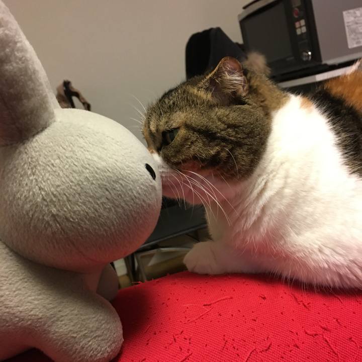 883f512d 99e8 4b0f a9b9 de68dfe19008