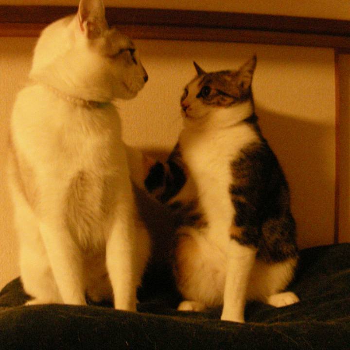 883f86bb d8d9 402d 9ddd fb000c871c0c