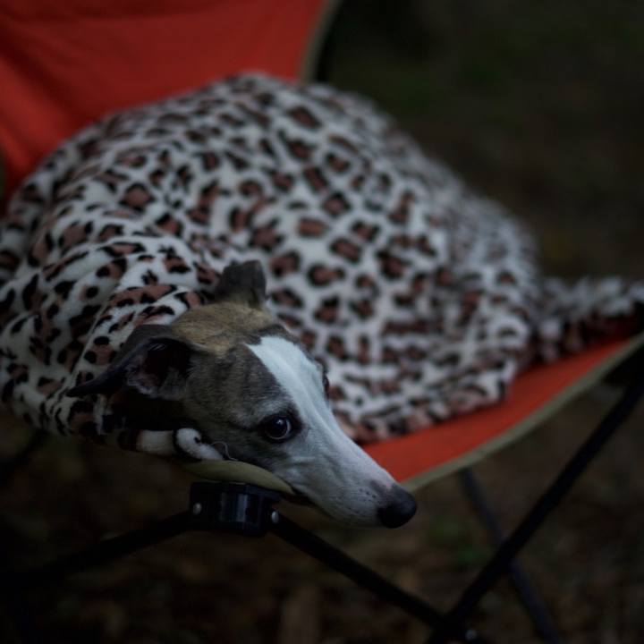 883fadb7 3fa5 4b4c b148 23440d813652